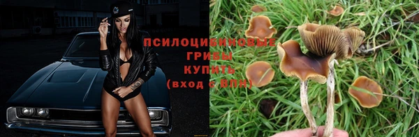 прущая мука Богородицк